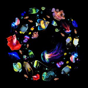 Galaxy Projector Light - Image 20