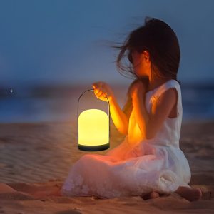 Portable Camping Light