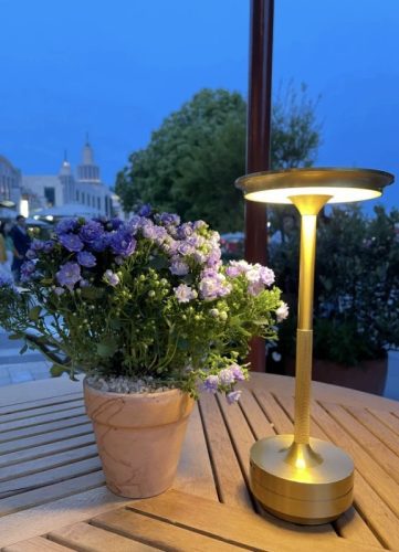 Luminous Elegance Lamp photo review