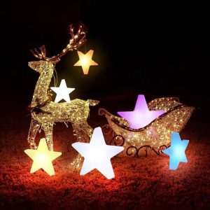 Star Garden Night Light